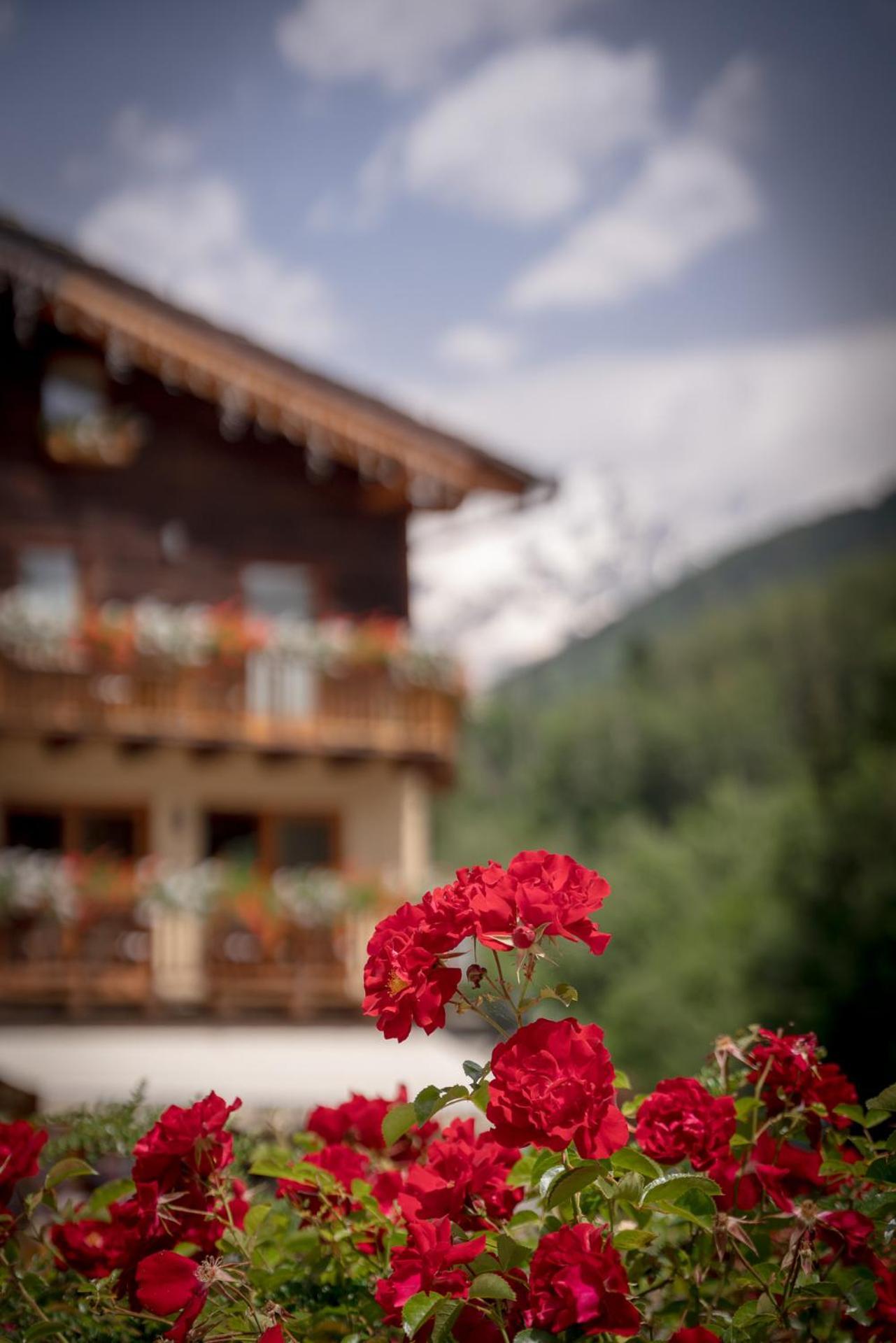 Locanda Bellevue Pre-Saint-Didier Luaran gambar